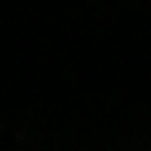 Meet your Posher, Damian